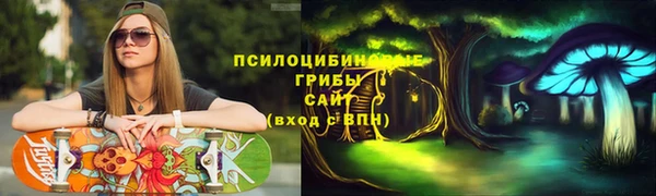 ГАЛЛЮЦИНОГЕННЫЕ ГРИБЫ Армянск
