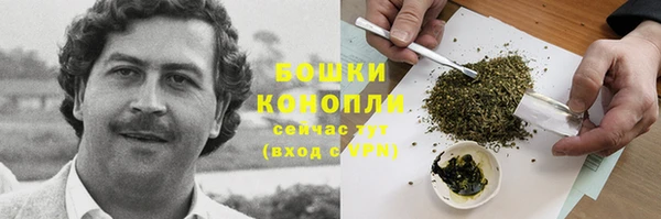 ГАЛЛЮЦИНОГЕННЫЕ ГРИБЫ Армянск