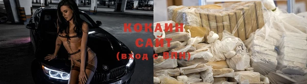 ГАЛЛЮЦИНОГЕННЫЕ ГРИБЫ Армянск