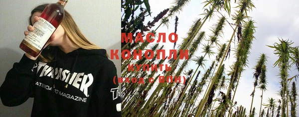 хмурый Арсеньев