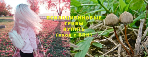 хмурый Арсеньев