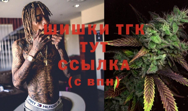 ГАЛЛЮЦИНОГЕННЫЕ ГРИБЫ Армянск